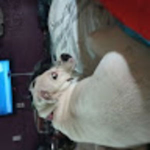 Meet your Posher, Jamie